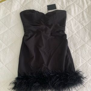 Black Feather bottom mini dress